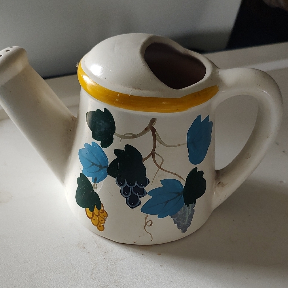 Decorative Watering Can with Grapes And Vines Design